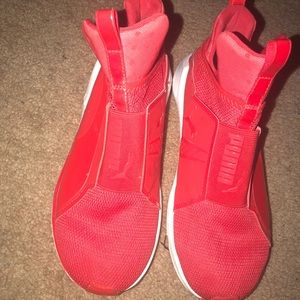Red pumas
